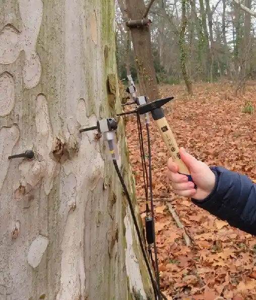 เครื่องสแกนต้นไม้ 3 มิติ